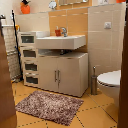 Apartman U Sjezdovky Alfa - *
