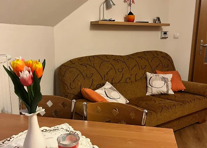 Apartman U Sjezdovky Alfa - Černý Dŭl