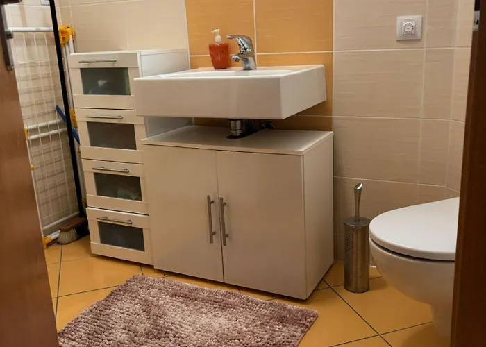 Apartman U Sjezdovky Alfa - *