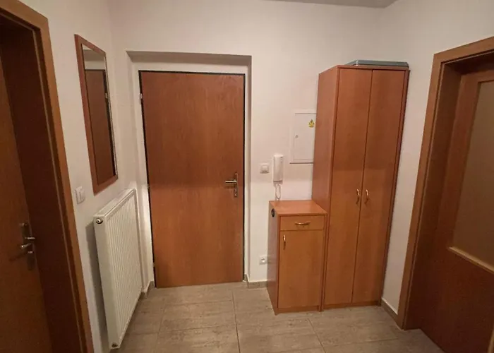Apartman U Sjezdovky Alfa - *