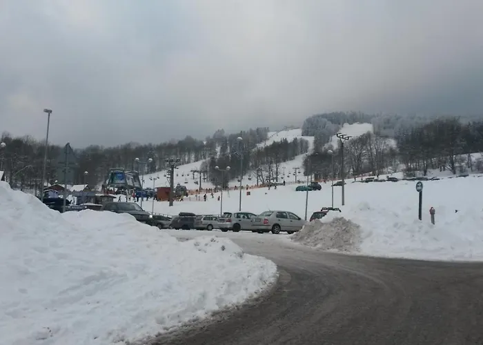 U Sjezdovky Alfa - *